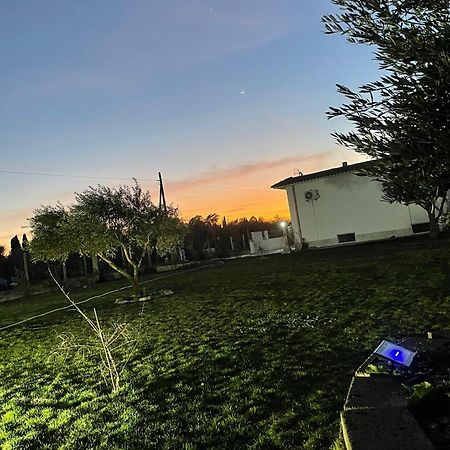 Villa Daniele Borgo Montenero Bagian luar foto