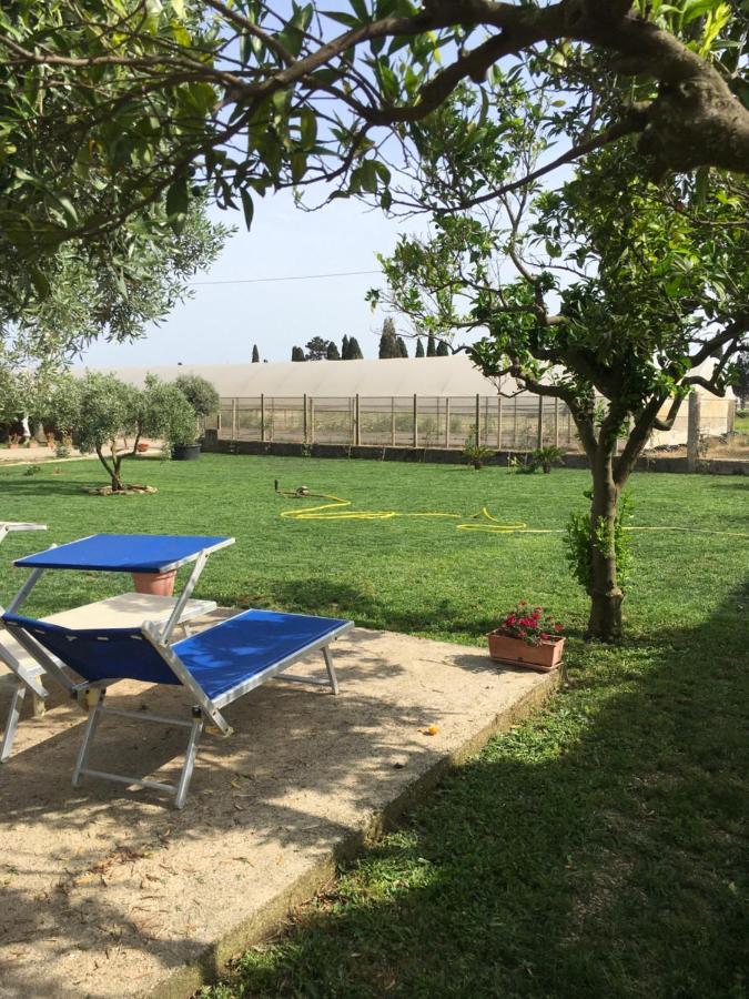 Villa Daniele Borgo Montenero Bagian luar foto