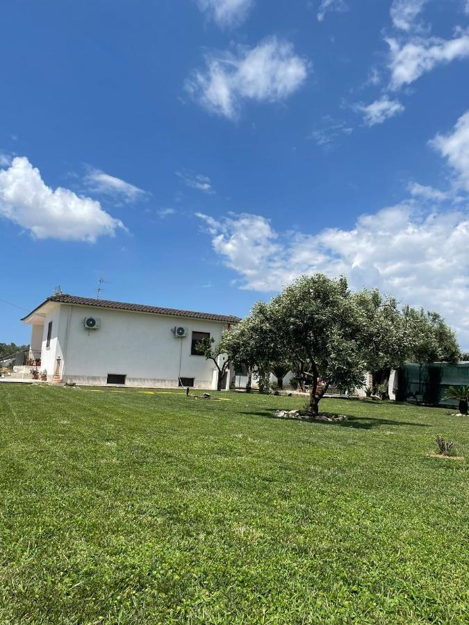 Villa Daniele Borgo Montenero Bagian luar foto